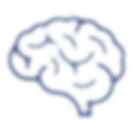 67ceaecdea14f8682ba670d5_np_brain_454654_233B70.png