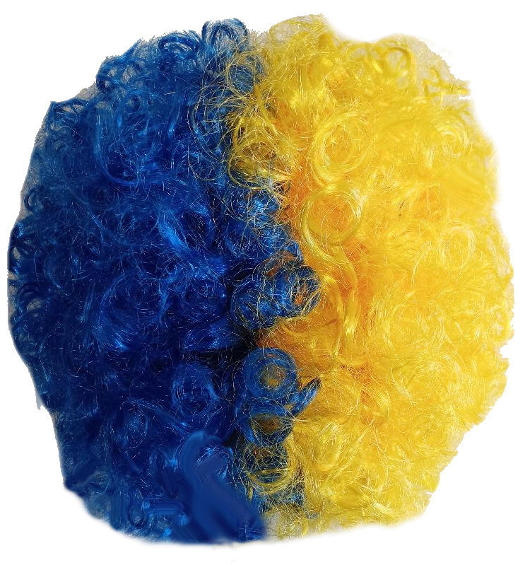 blue and gold curly wig.jpg