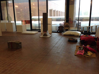 Getting ready for the thesis exhibition!
