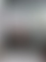 Unoffical progress image!