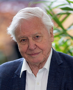 davis-attenborough.png