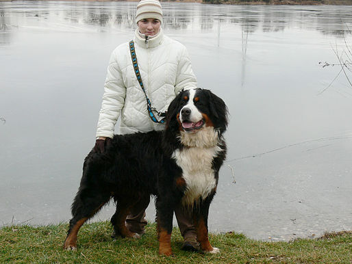Procházka v Lázních Toušeň