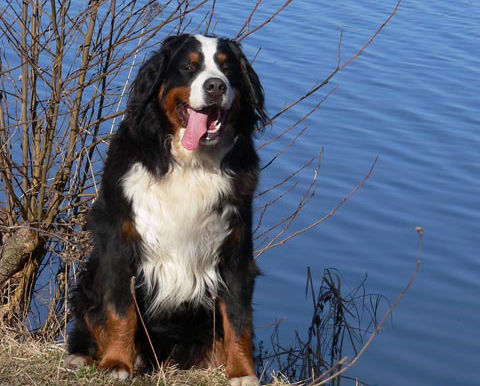 Letní vycházka v únoru 2008