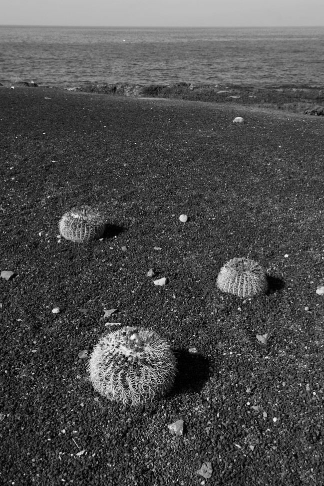 XiangyuLong_Landscape10.jpeg