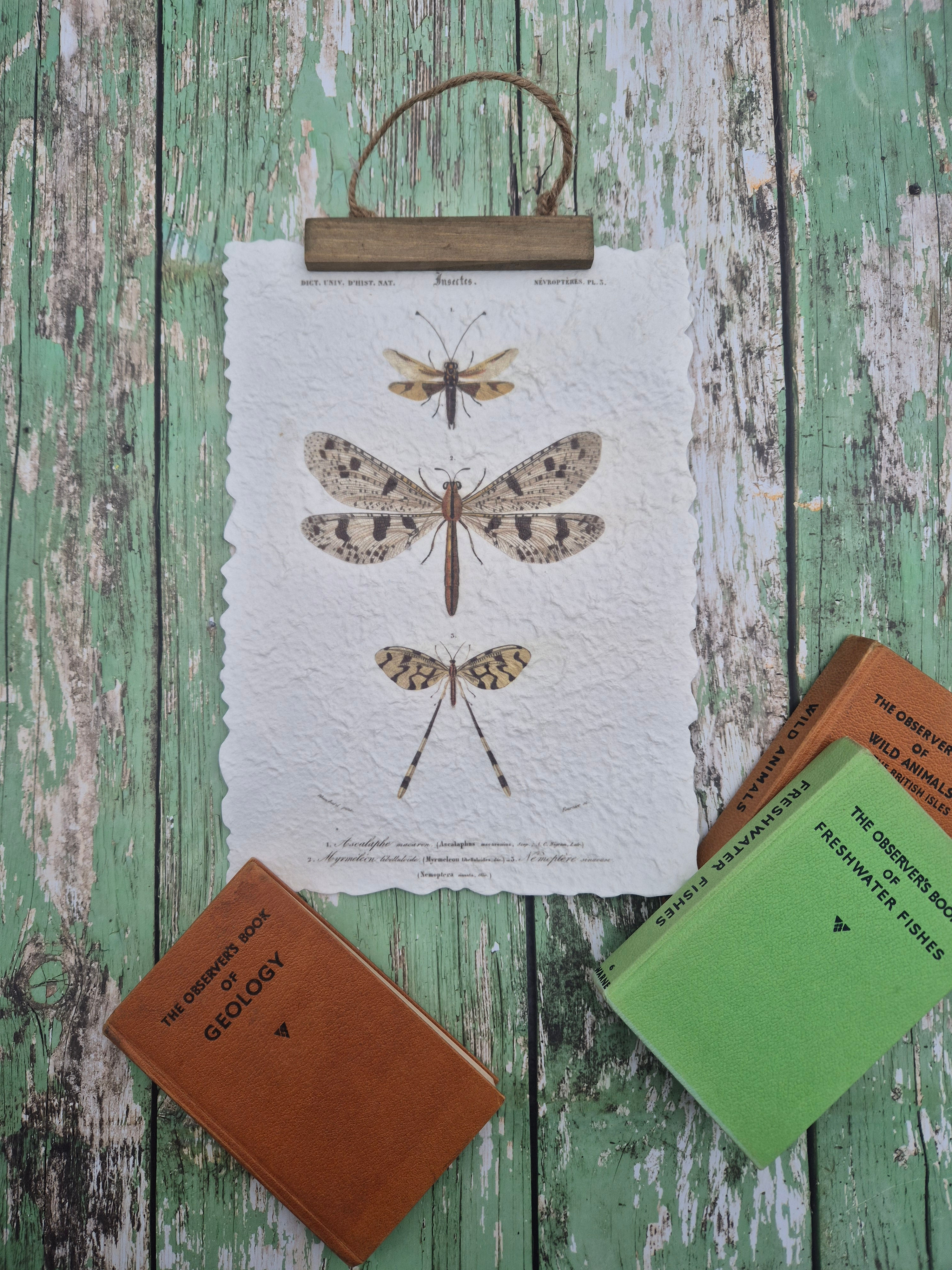 Insect Print Wall Hanging