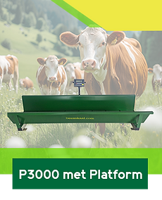 p3000-met-platform-beesskaal.png