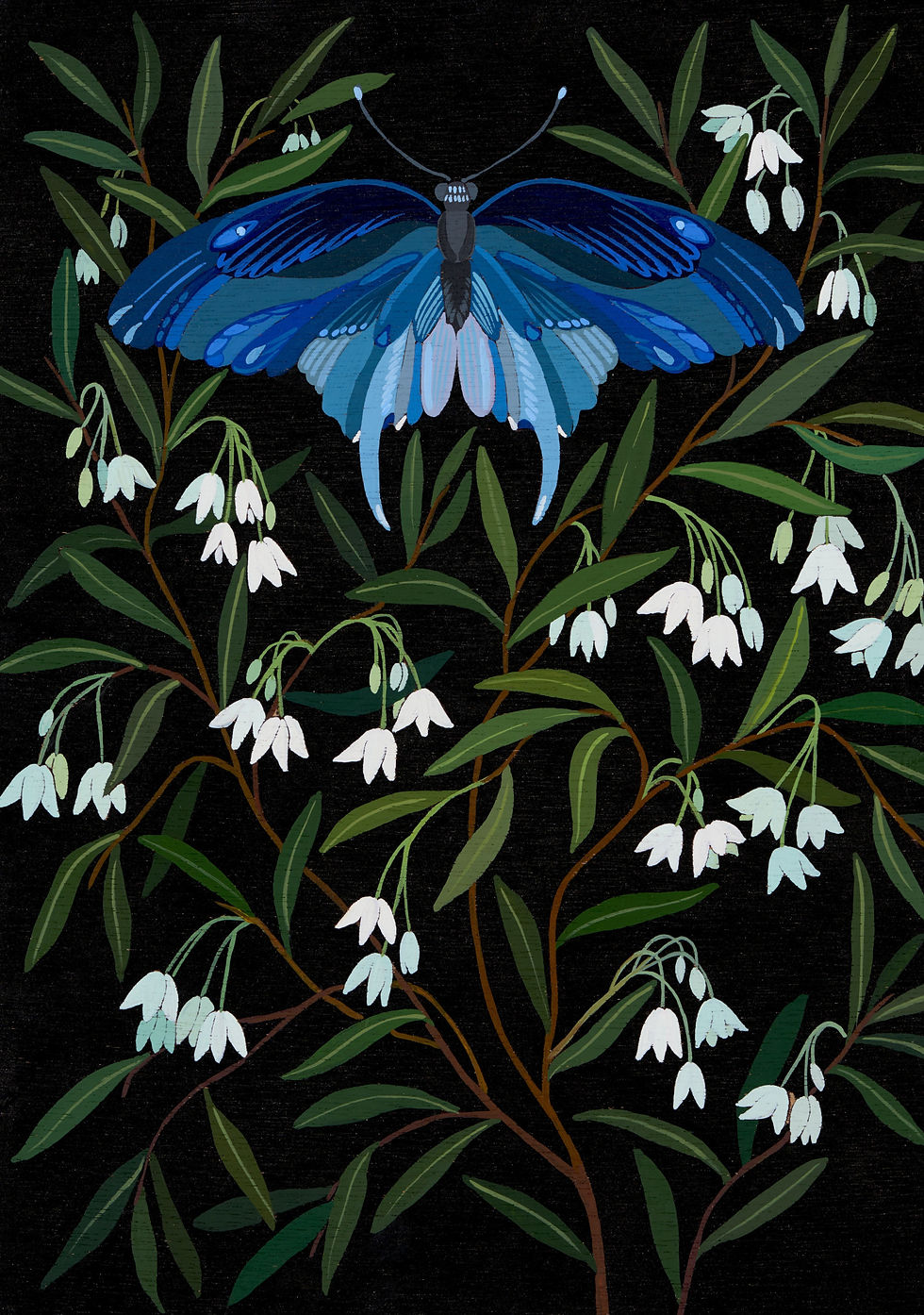 "White Bluebells" - Giclee print
