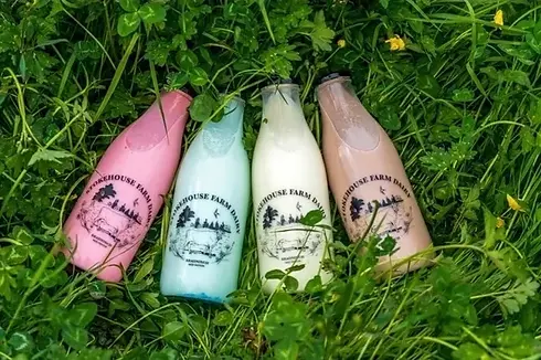 Four glass milk bottles with different coloured milkshakes lying on green grass