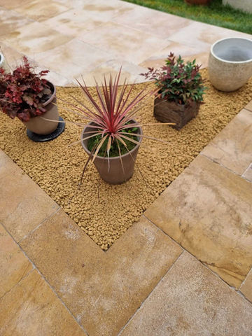 Potted plants on a block paving