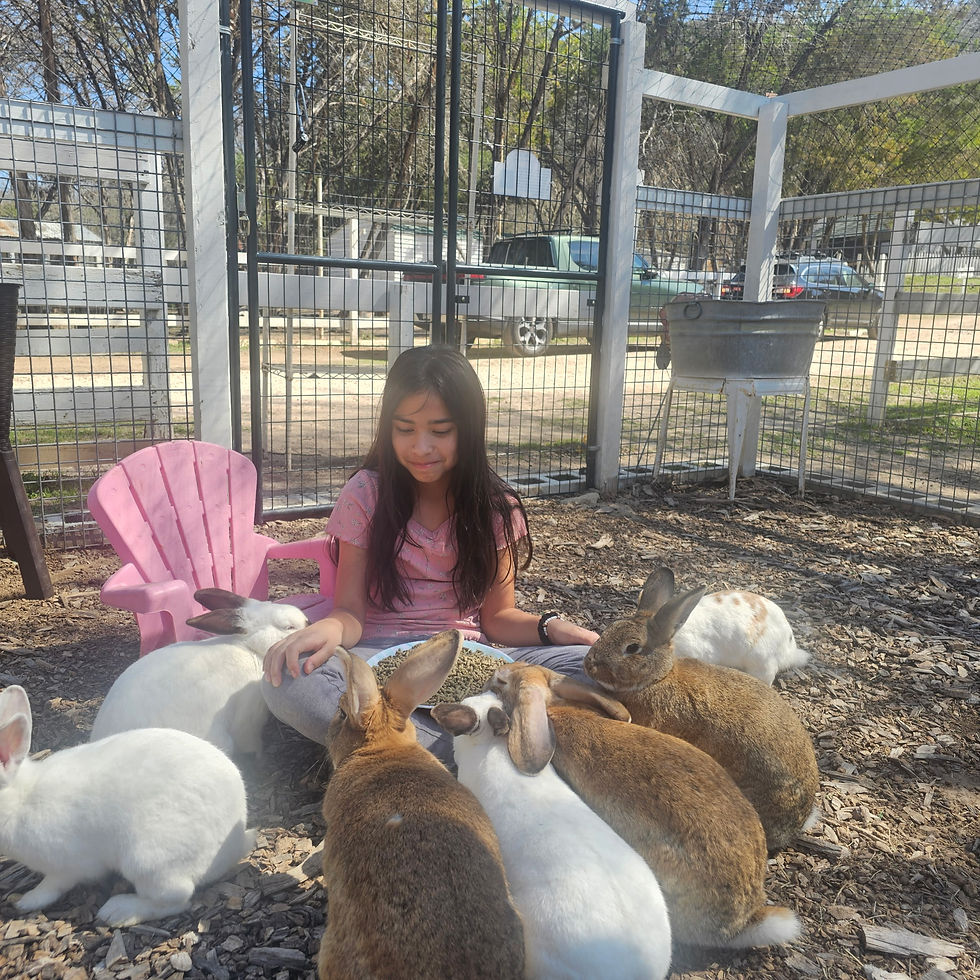 Girl sitting with rabbits at a Farm Summer Camp.