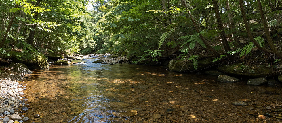 Creek at the Rose and Grace Mini Farm