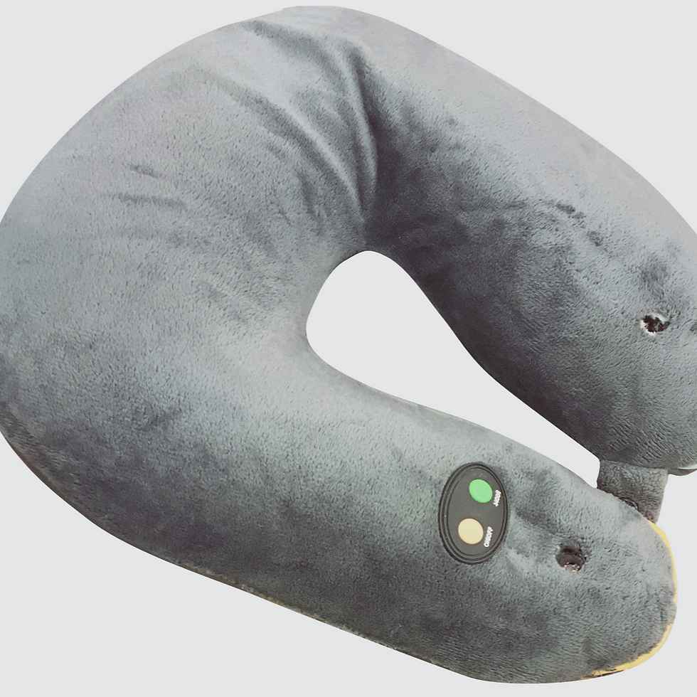 Fius smart humidity traveling pillow