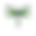 Green Dragonfly.png