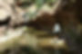 Sedona_edited_edited.jpg