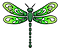 Green Dragonfly_edited.png