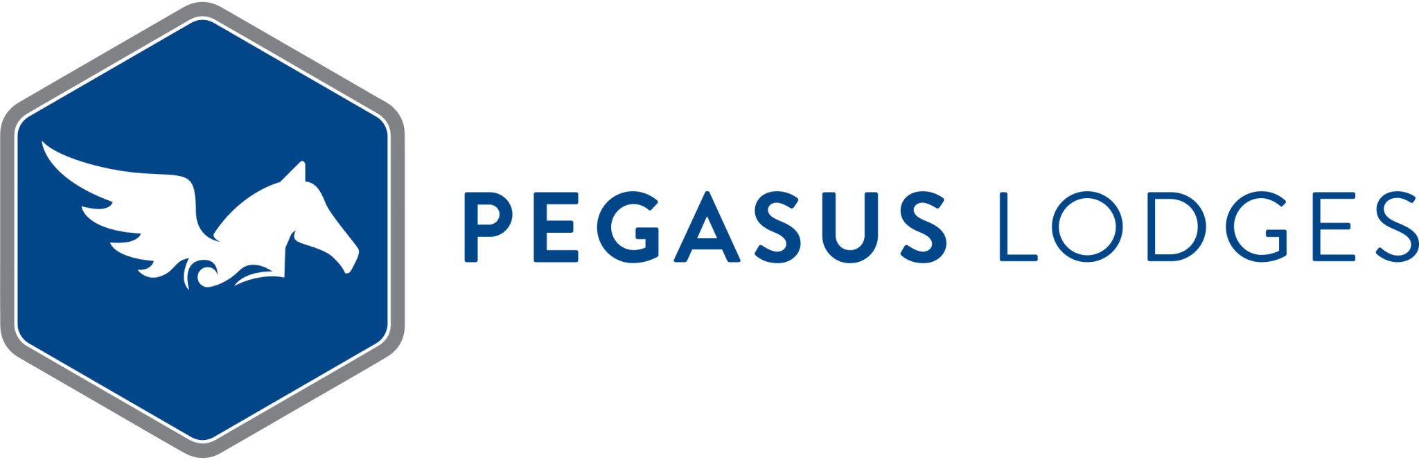 Pegasus_Simple_Horizontal.png