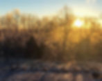 snowygarden_edited.jpg