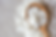 SOLUTIONS-PARFUM-DEMARCHE-RSE-MATERIAUX-ECO-RESPONSABLES.png