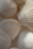 Amalfi Stock Photos by Digital Asset Co-55.jpg