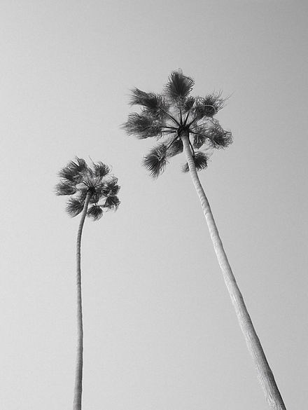 Amalfi Stock Photos by Digital Asset Co-49_edited.jpg