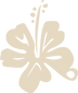 WhollyWomenCoRebrand-15.png