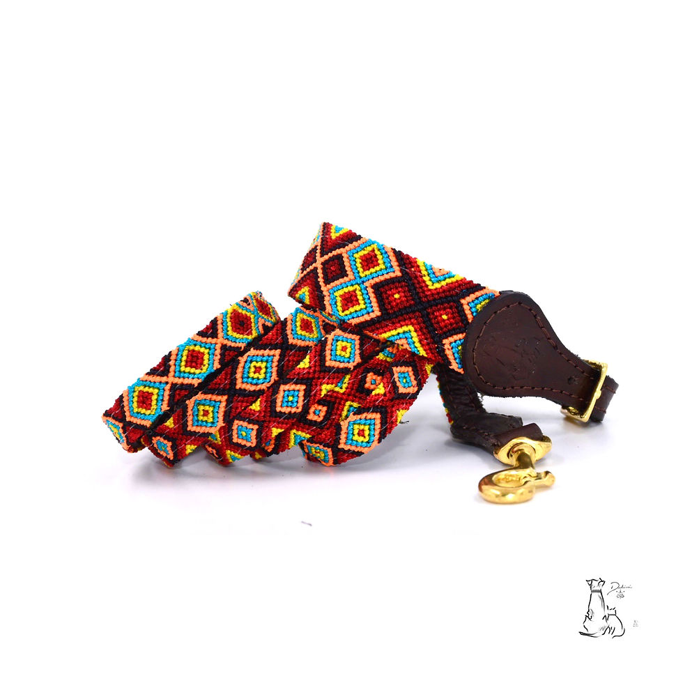 Miniatura: Correa Delgada con Collar XCH K’ok 