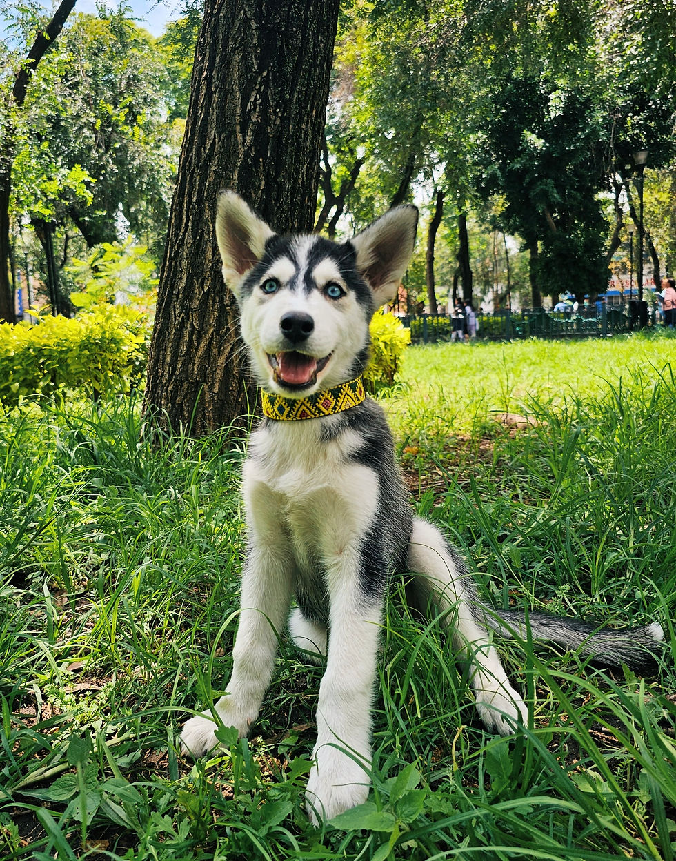 Miniatura: Collar L Ch’ik Mut