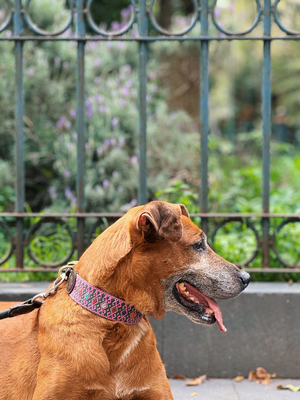 Miniatura: Collar M2 Ts‘unun