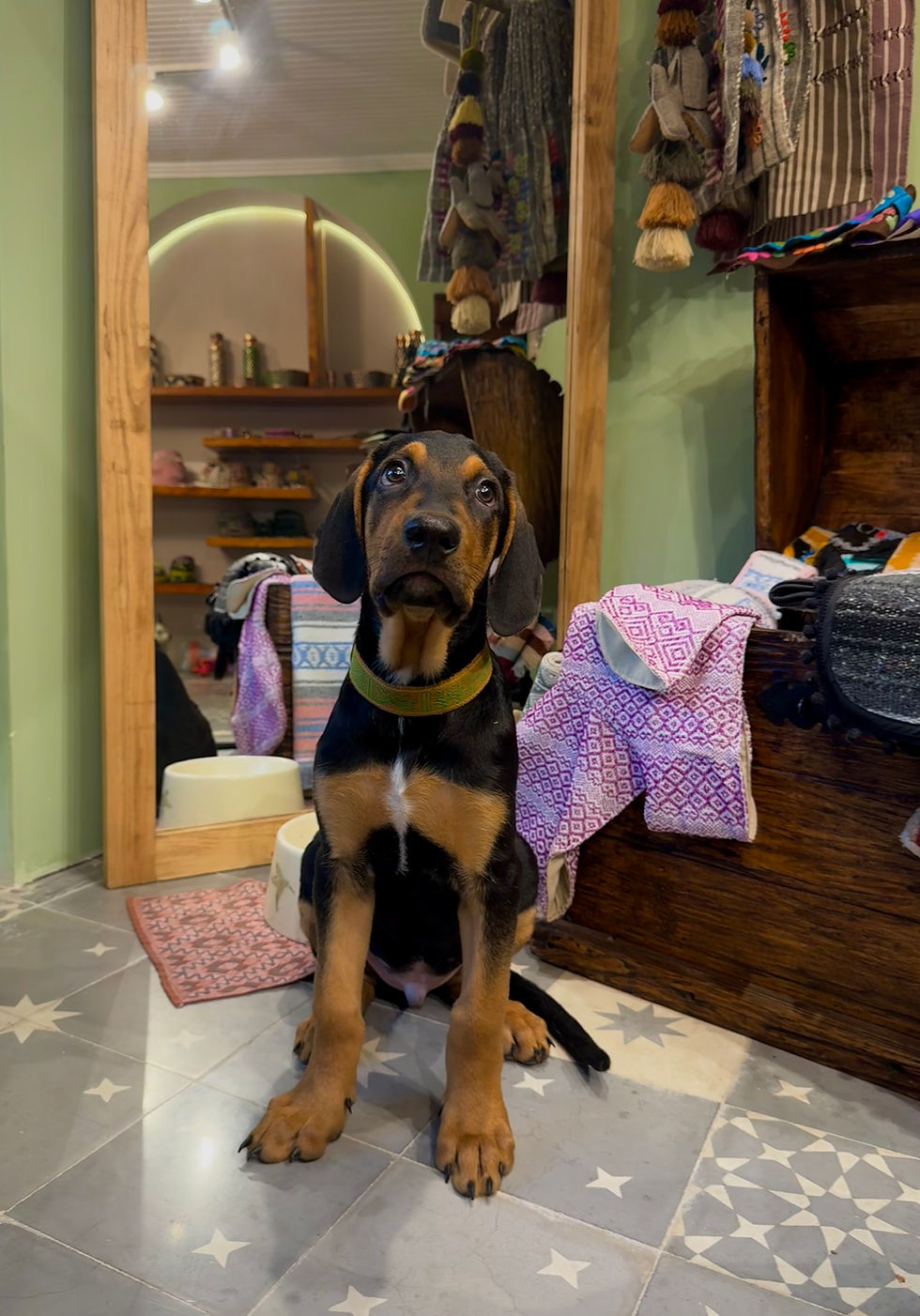 Miniatura: Telar de cintura Michoacán Talla M