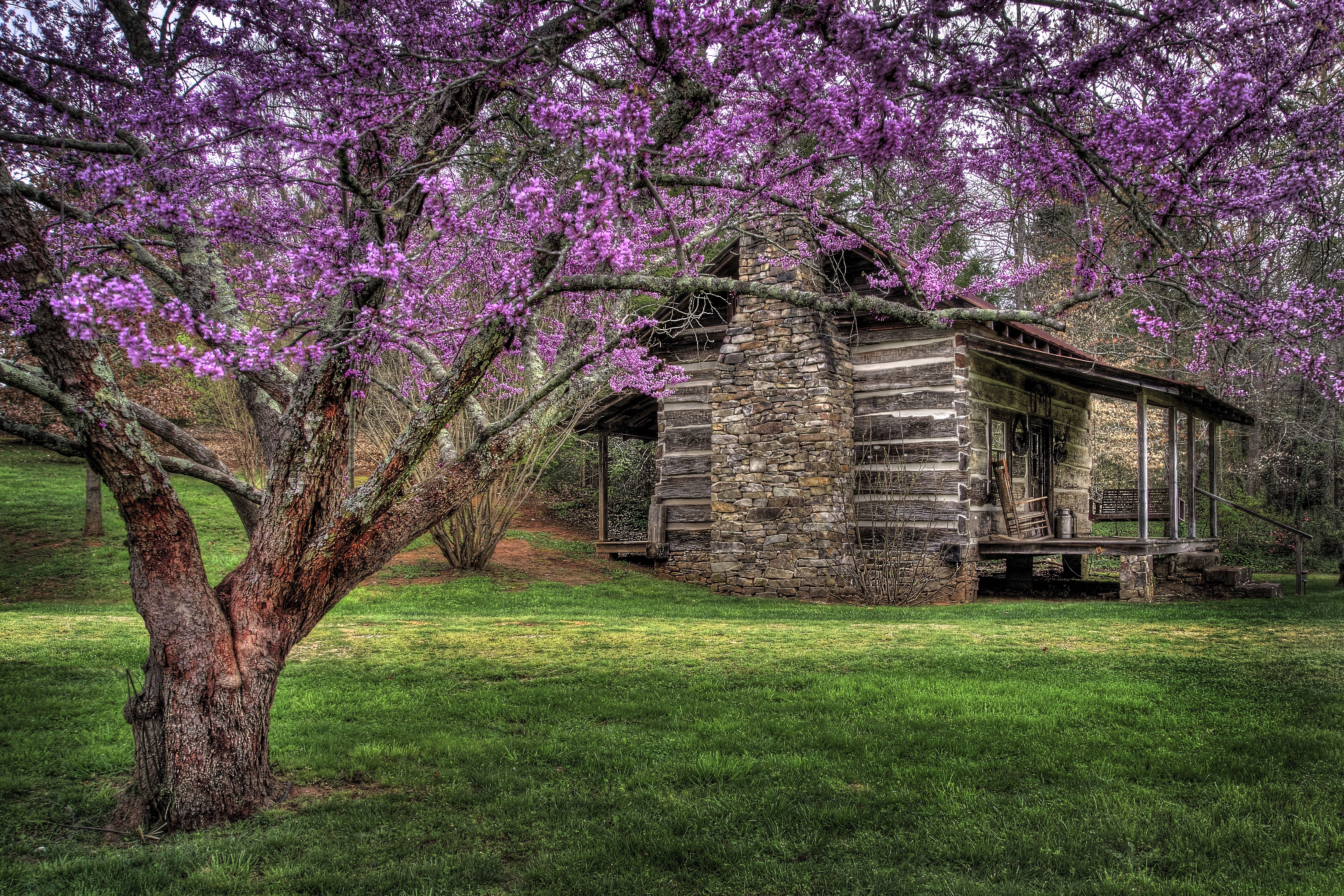 Spring Cabin in the Woods