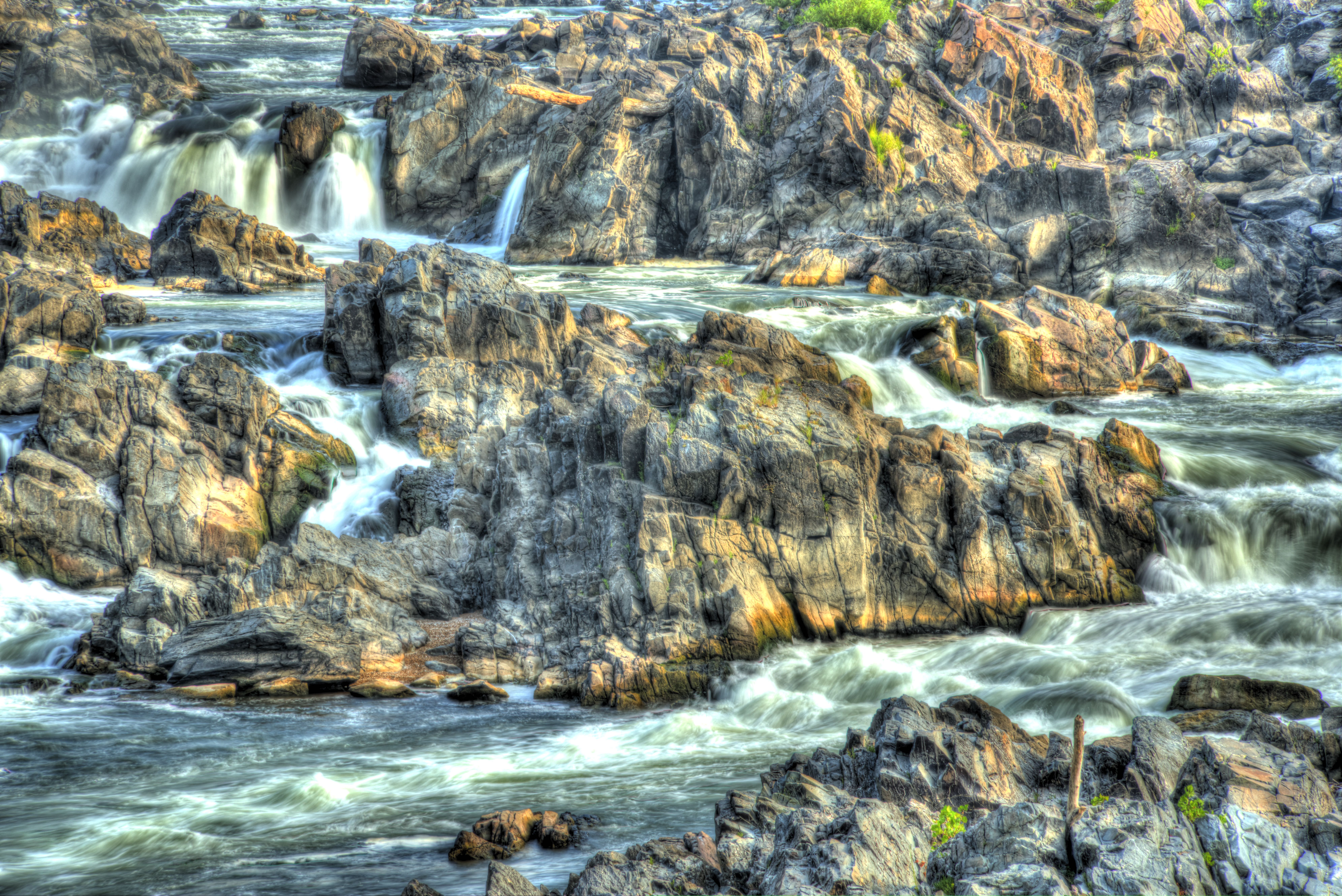 Great Falls Virginia Closeup