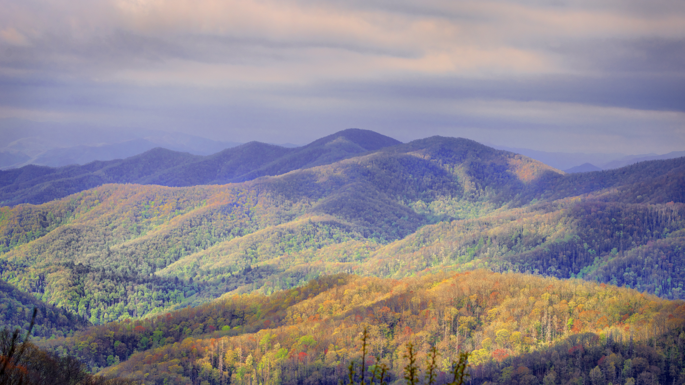 Smokies Sunrise Number 3