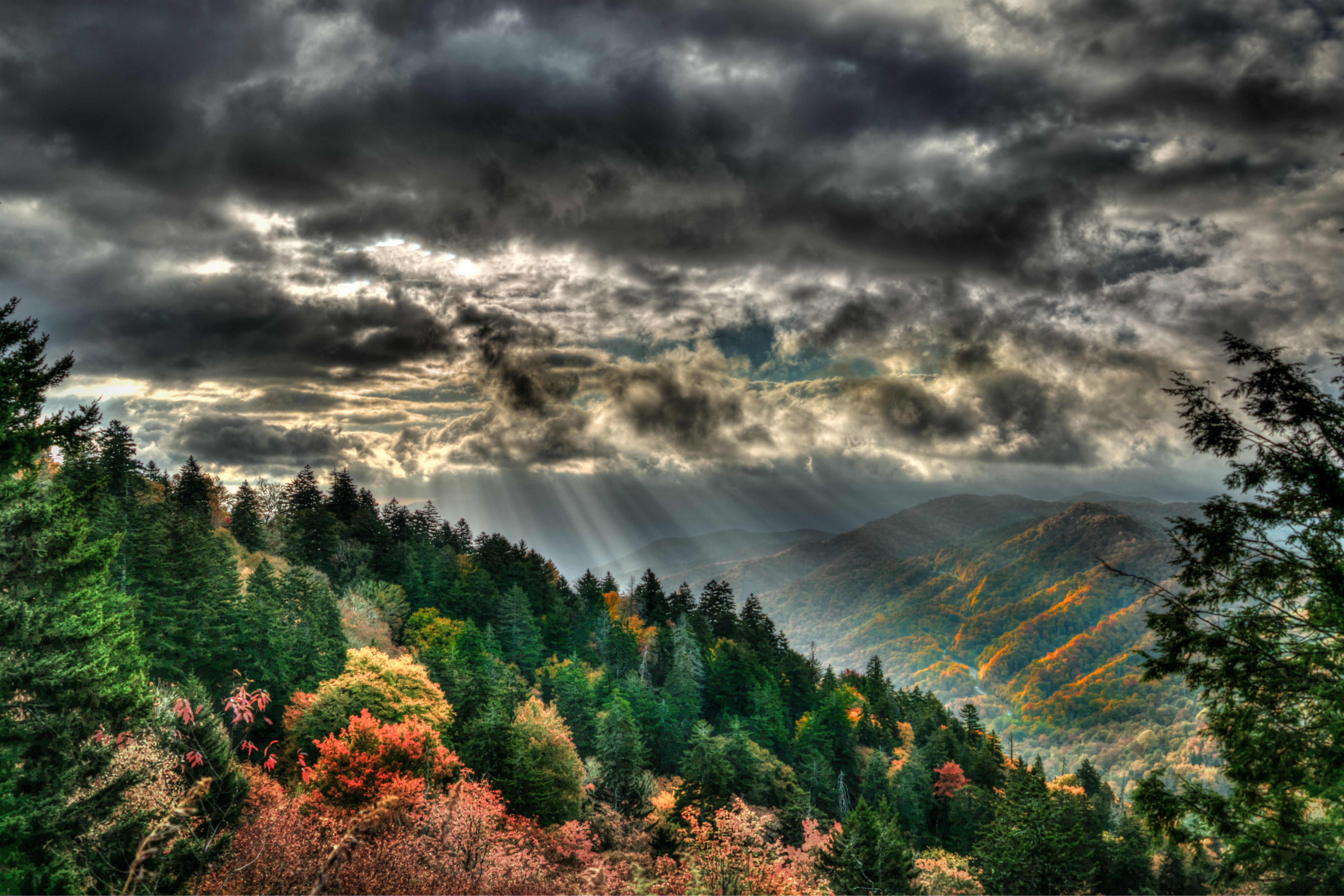 Fall in the Smokies
