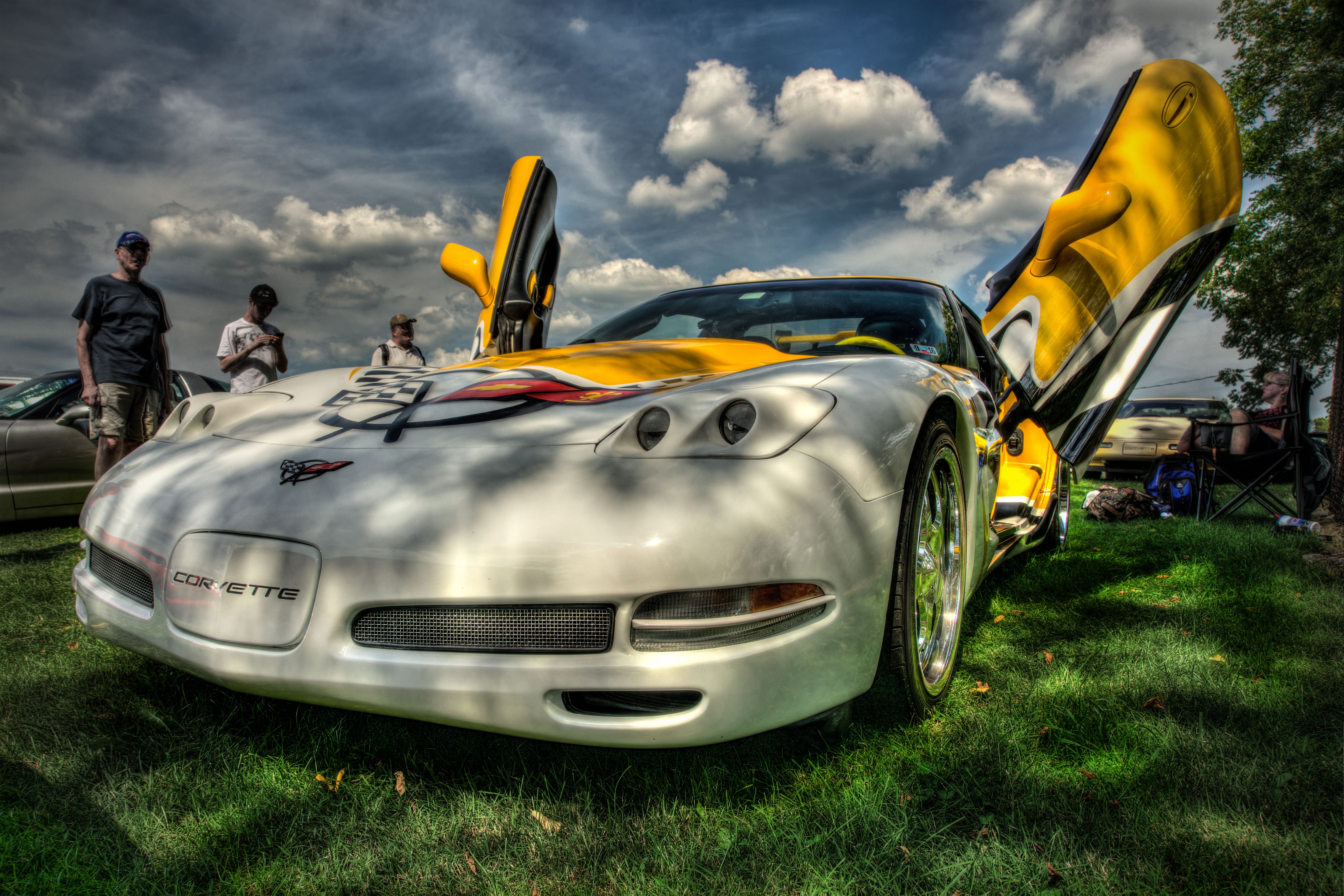 Gull Wing Vette