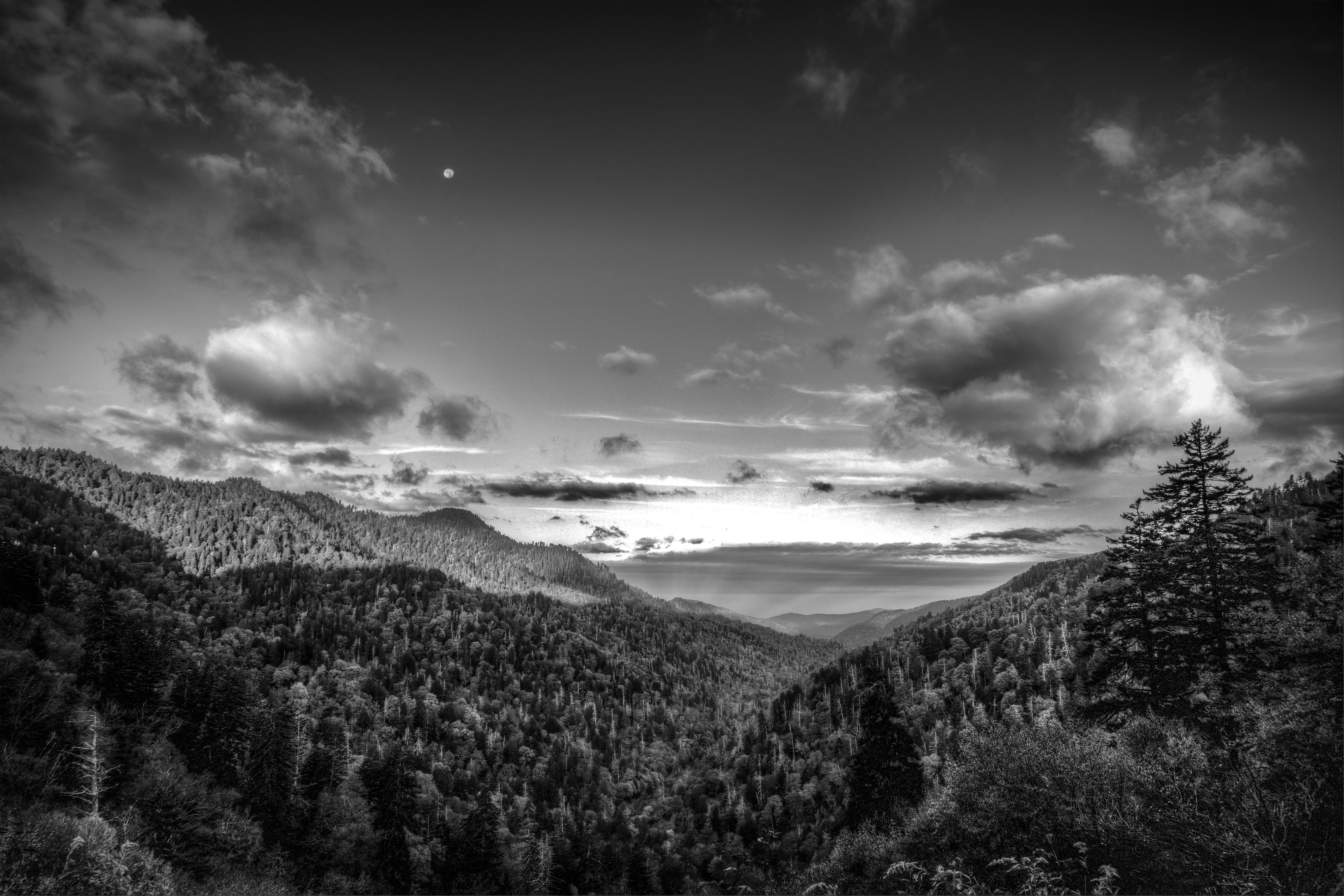 Smoky Mountain NP Monochrome