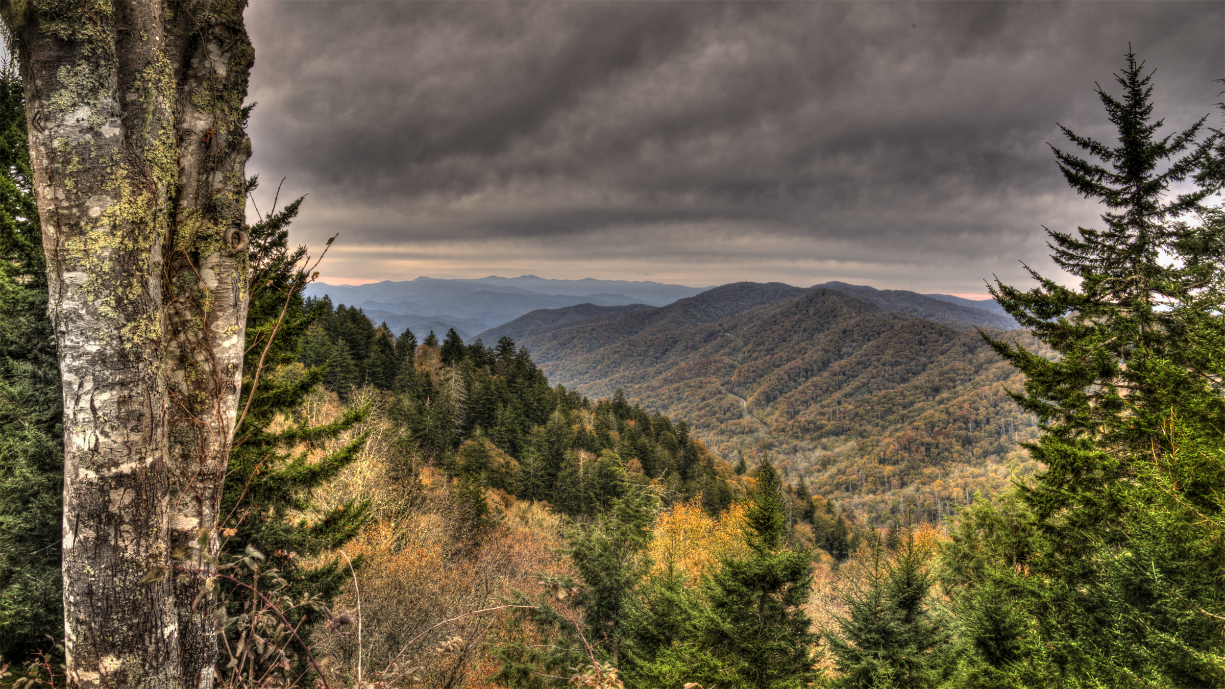 Newfound Gap Fall
