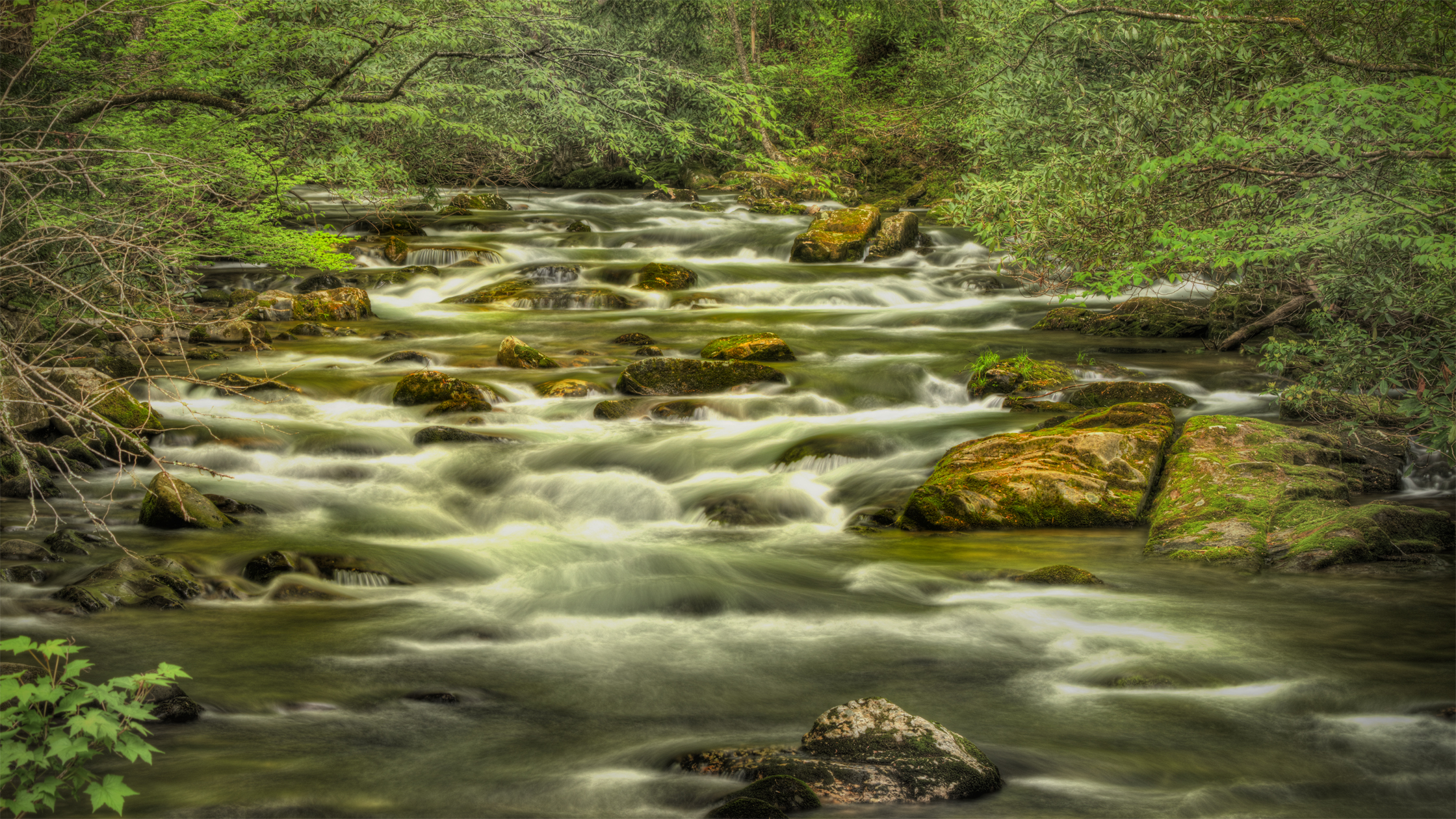 Nantahala Calm