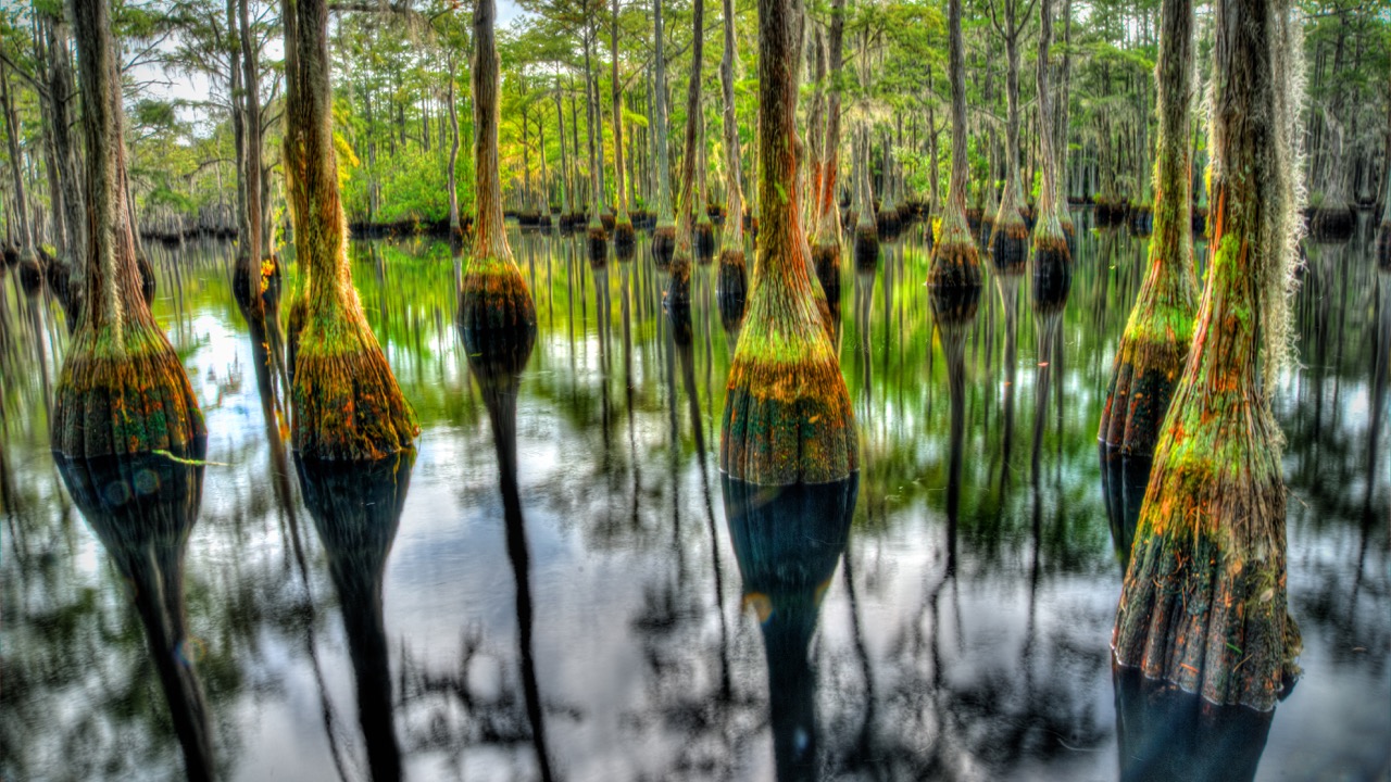 George L Smith Park, GA