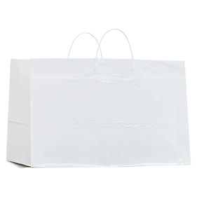Ridgid Bag.jpg