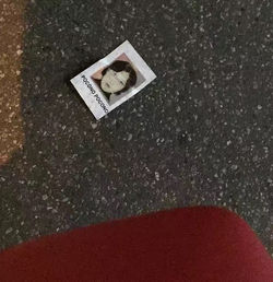 《Pocono Pocono est partout》4，2016