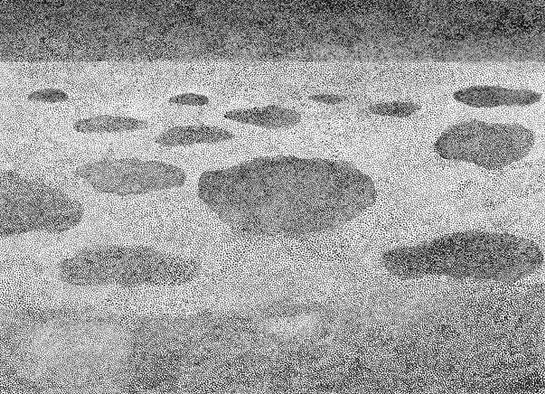 b003.jpg