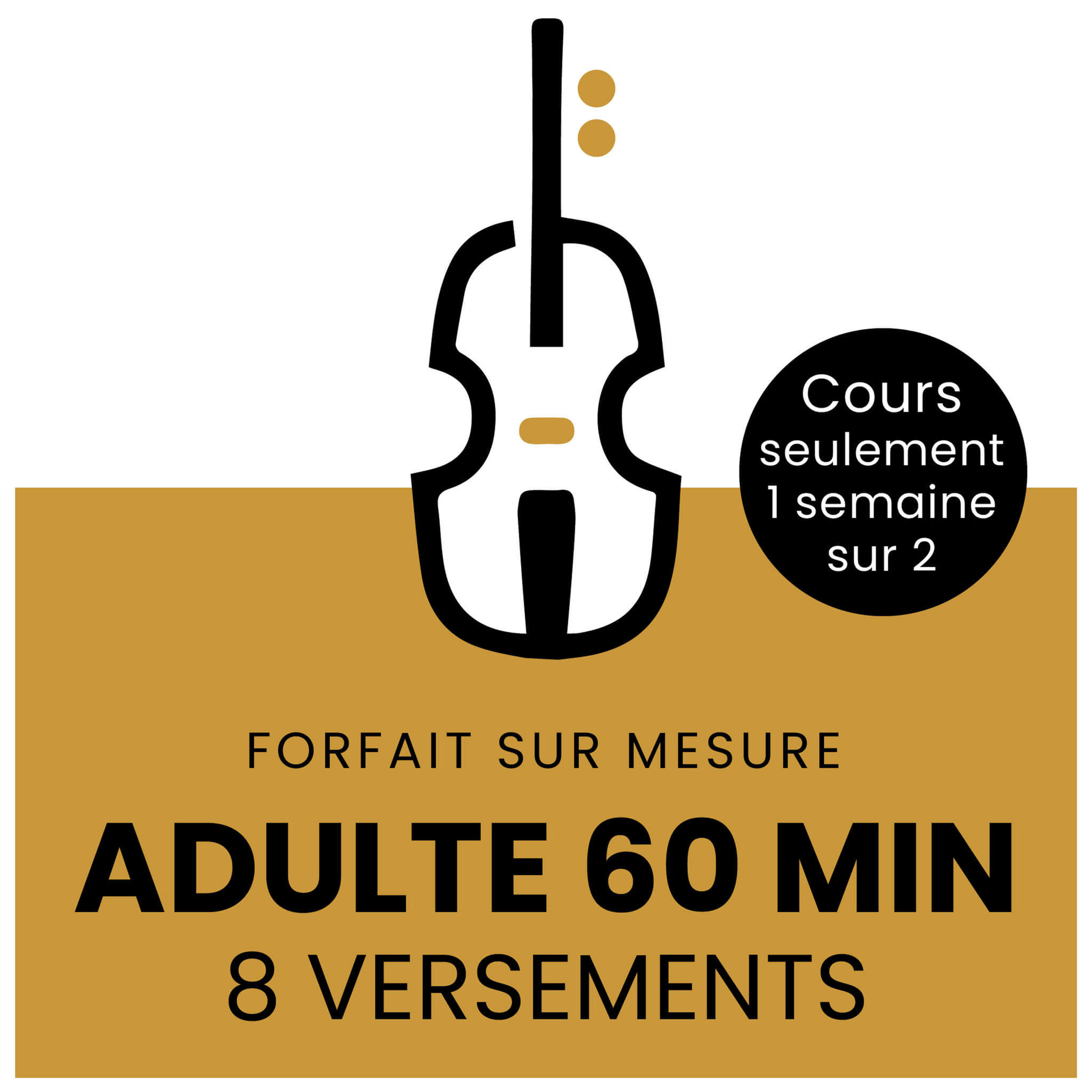 Cours adulte 60 minutes (1 sur 2) 8 versements
