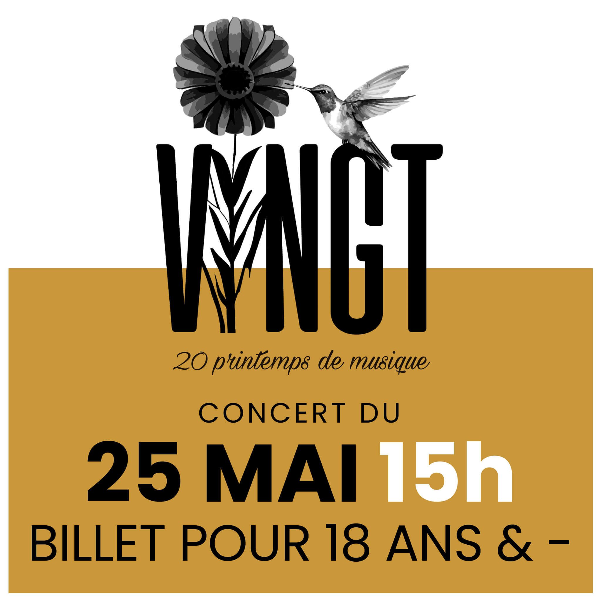 Billet d'entrée pour le concert VINGT du 25 mai 2024 : 18 ans et moins
