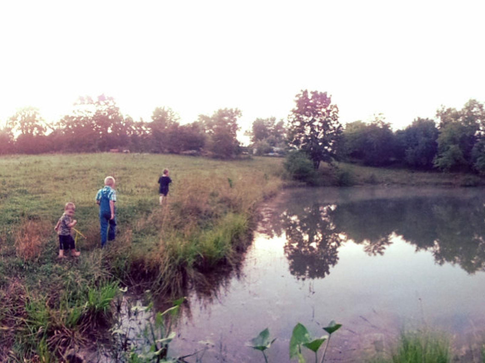 The Eaton Farm photo 11