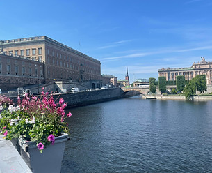 Slottet.jpg
