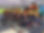 IMG_3606.jpeg