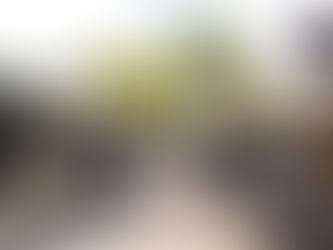 Urban Solutions and Sustainability Integration Fund