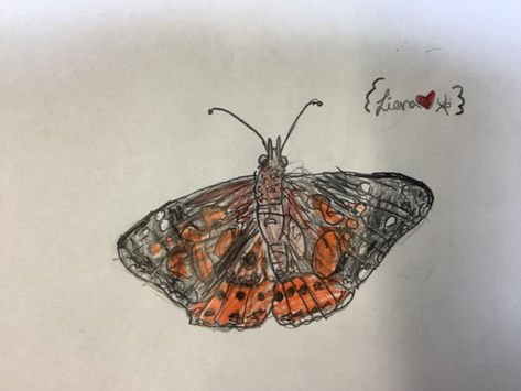 Metamorphose im Klassenraum: Natur erleben, Wissen entfalten