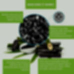 Thumbnail: 1 large 8 inch (20cm)  & 1 small 6 inch (16cm) Boat Design