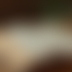 Explore Tigrinya Language with Aser Raina's Resources